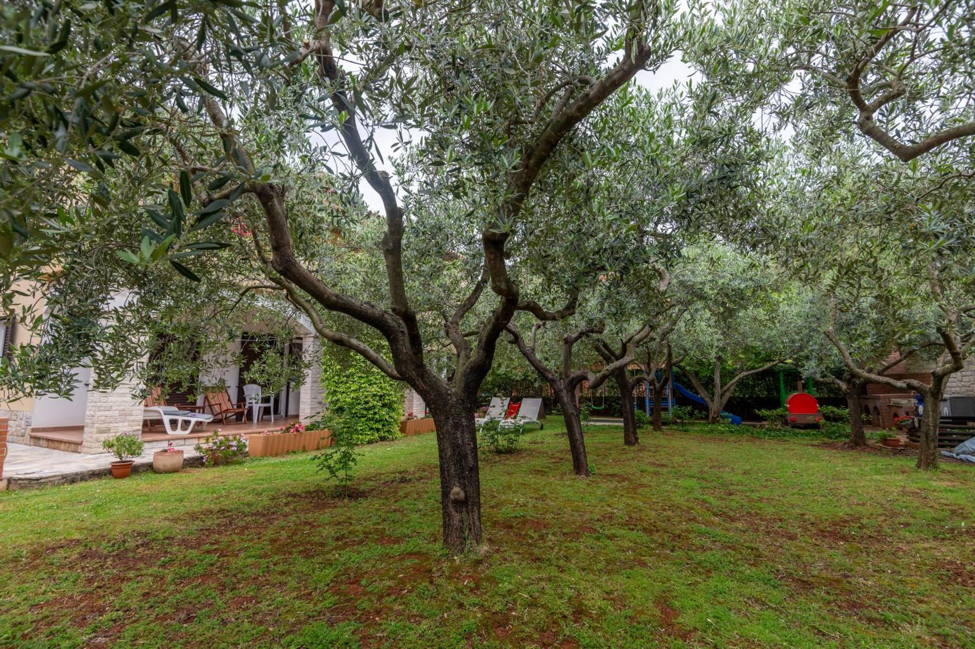 Apartments Mirella Novigrad  Luaran gambar